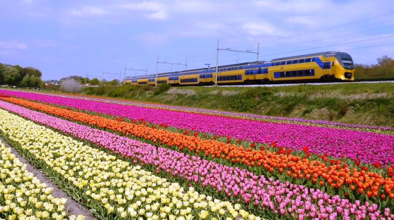 Todos os trens da Holanda já são movidos com energia eólica