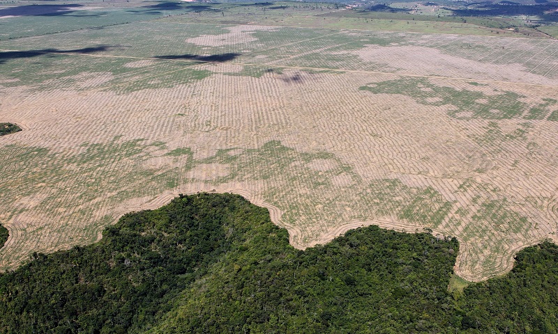 Desmatamento na Amazônia aumenta mais de 50% em janeiro