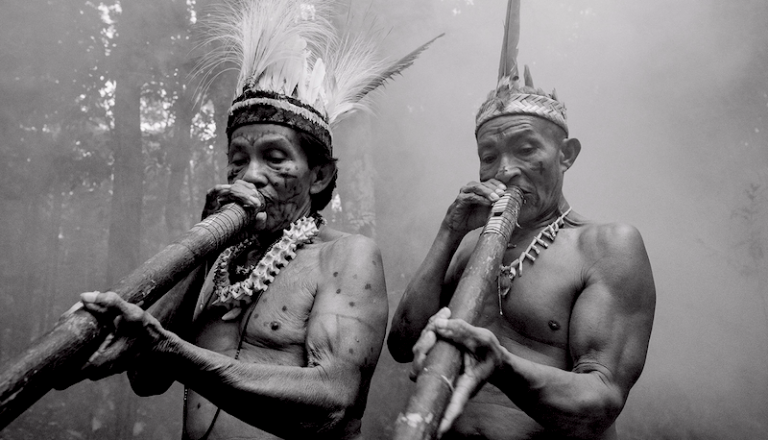 Indigenas Quilombolas Ribeirinhos Povos Da Flortesta Campanha Isa