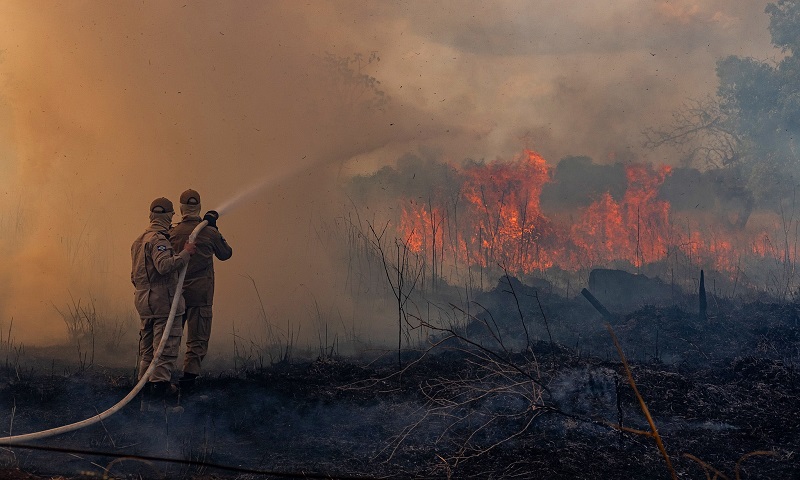 Chile e Reino Unido ajudarão no combate às queimadas da Amazônia