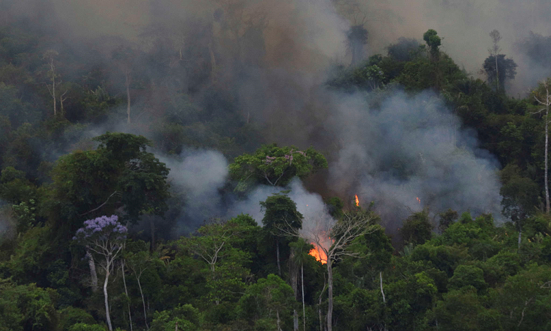Alertas de desmatamento da Amazônia têm alta 321% em agosto