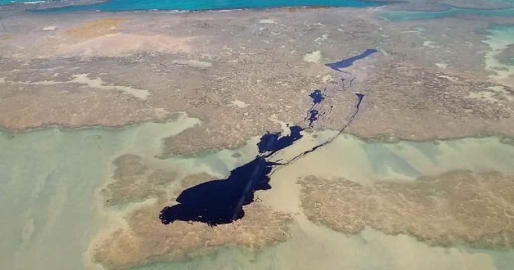 "Contaminação em manguezais e corais poderá durar muitos e muitos anos", alerta biólogo sobre impacto  do derramamento de óleo no Nordeste 
