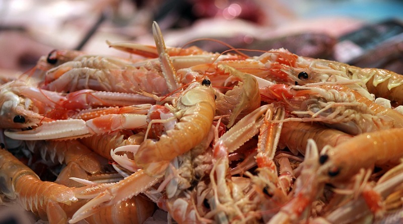 Pesca de camarão e lagosta está proibida, até 31 de dezembro, nas regiões afetadas pelo óleo no Nordeste 