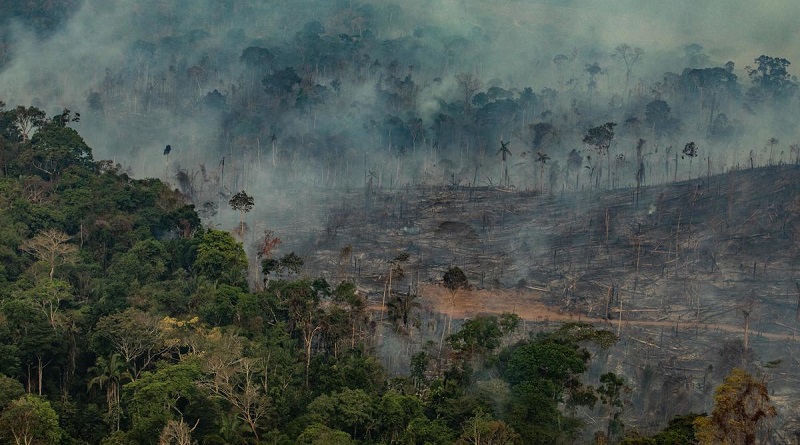 Governo dá presentão de Natal para quem desmata ilegalmente na Amazônia