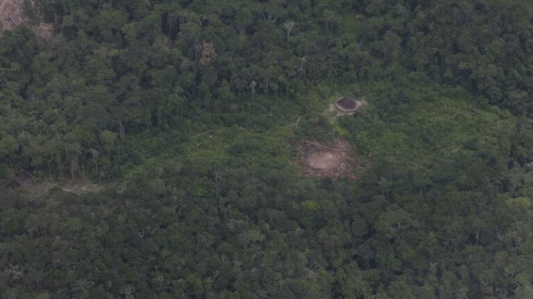 Fiscalização reduz a zero alertas de desmatamento pelo garimpo na Terra