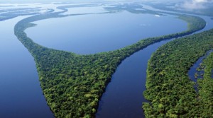 foto aérea da região amazônica