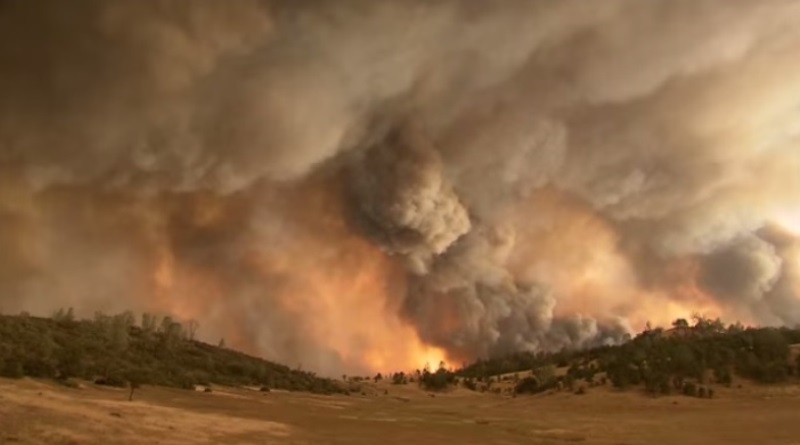 incêndio destruindo florestas na Califórnia