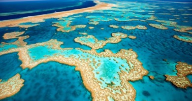 Grande Barreira de Corais da Austrália