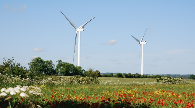 Turbinas eólicas no Uruguai, que investiu fortemente em energias renováveis