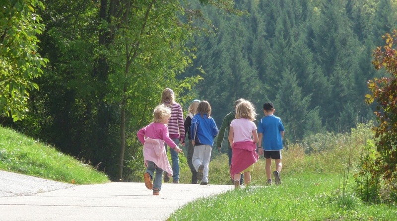 crianças andando em meio à natureza
