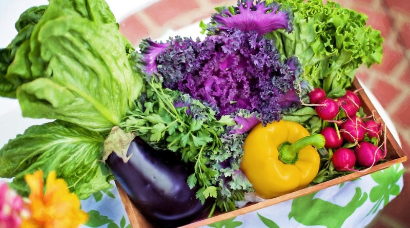 Featured image of post Imagens De Hortaliças : As hortaliças são grupos de vegetais cultivados em horta, onde partes como raízes, caules, folhas, flores, frutos e sementes, são consumidas pelos humanos como alimento.