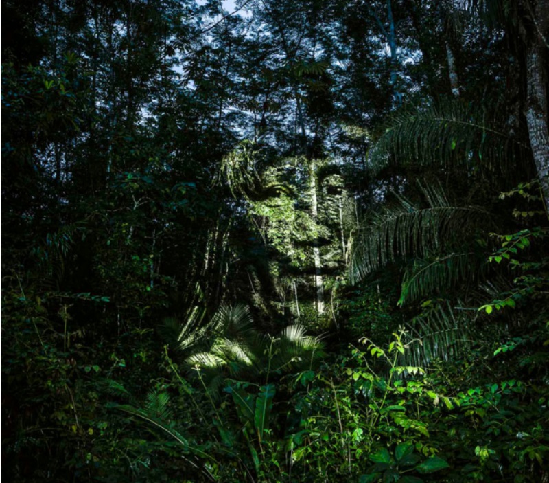 desmatamento-fotografo-frances-retrata-indios-surui-projeta-floresta-amazonica-5-800