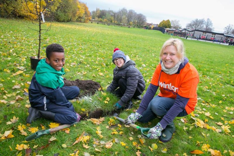 Cidade inglesa vai plantar 3 milhões de árvores: uma para cada homem, mulher e criança que vive nela