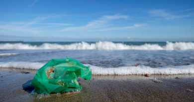 embalagem de plástico jogada no mar