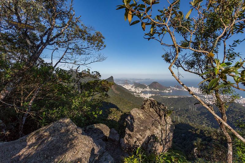 Macaco Sagui, Pão de Açúcar, Rio de Janeiro - Brazil