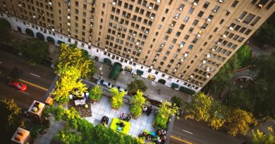 Nova York vai investir US$106 milhões em telhados verdes e plantio de árvores para combater o calor   