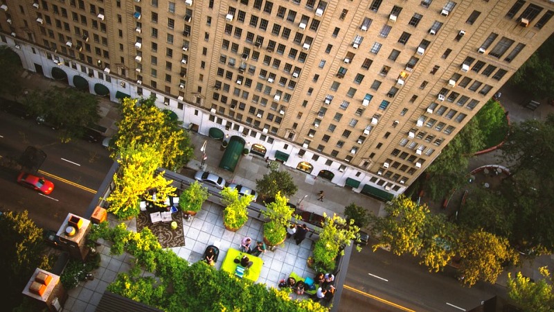 NY vai investir US$106 milhões em telhados verdes e plantio de árvores para combater o calor   
