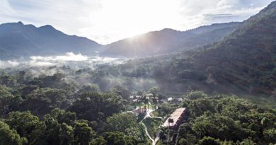 Grande vencedor do 1º Concurso Conexão Planeta de Fotografia de Natureza ganhará um final de semana no Bananal Ecolodge