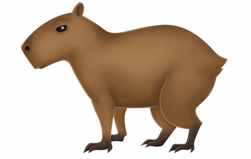 16 ideias de Capivara  capivara, capivaras, capivara desenho