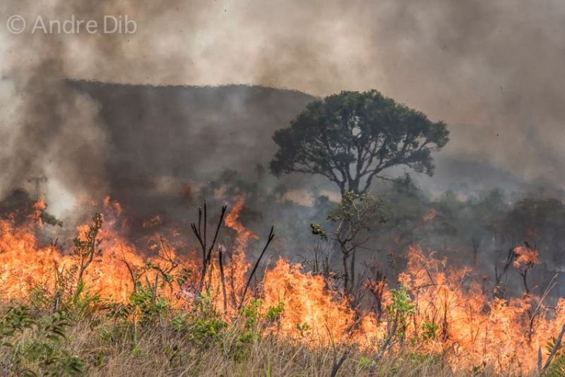 Chapada dos Veadeiros tem 10º dia de incêndios