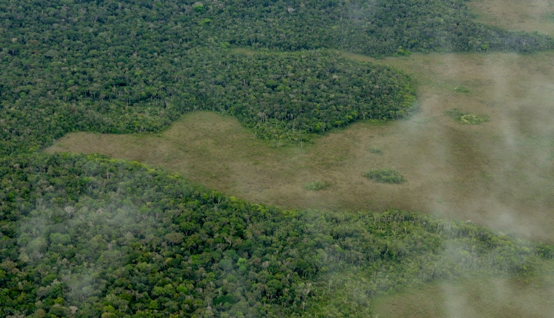 Monitoramento do desmatamento da Amazônia é ameaçado por cortes no orçamento