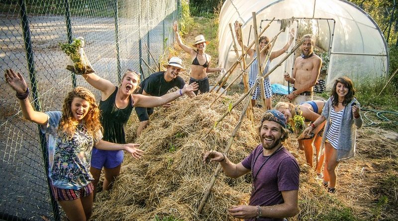 Organic Farms: estadia de graça e trabalho voluntário - viajando ao redor do mundo com as mãos na terra