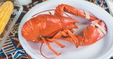 Suíça proíbe o cozimento da lagosta viva