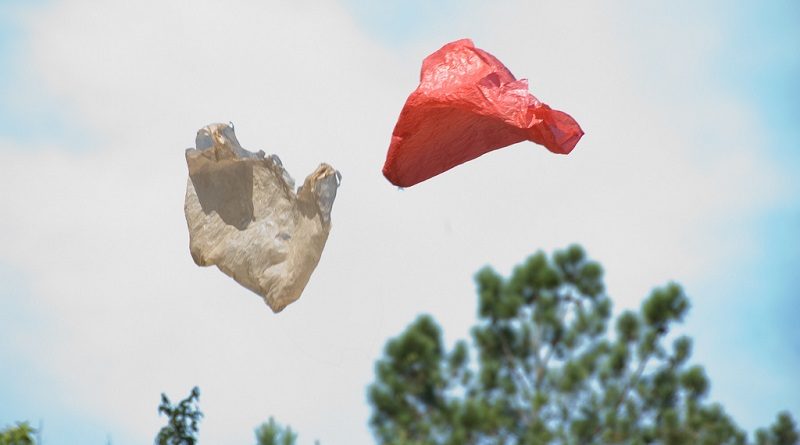 Nova Zelândia anuncia fim sacolas plásticas