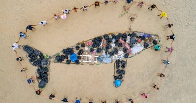 Limpeza de praias no Espírito Santo recolhe uma “baleia de lixo"