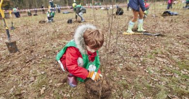 Moradores de Londres vão plantar 80 mil árvores no final de semana
