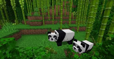 Urso panda chega ao Minecraft e, com ele, a chance de ajudar o WWF-Brasil