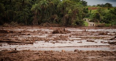 Contaminação do rio Paraopeba já chega a mais de 300 km e atinge água de 16 municípios