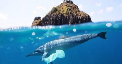 127 países do mundo já tem leis com restrições ao plástico. O Brasil não é um deles﻿