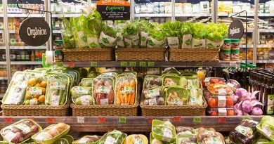 Redes de supermercados Extra e Pão de Açúcar vão substituir bandejas de isopor por material biodegradável ﻿