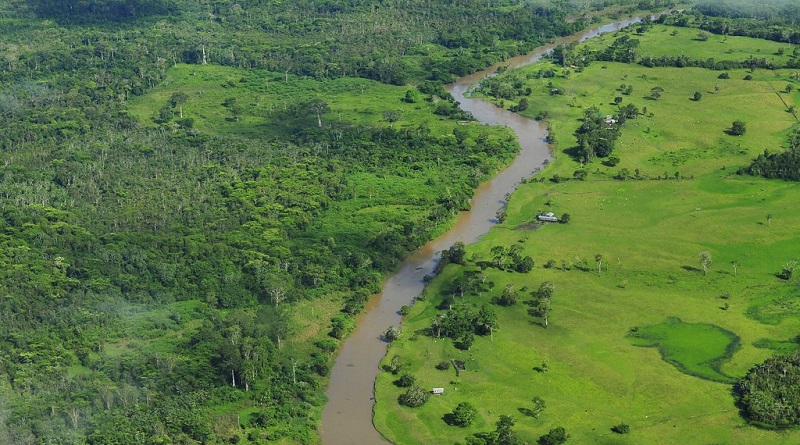 desmatamento na amazônia