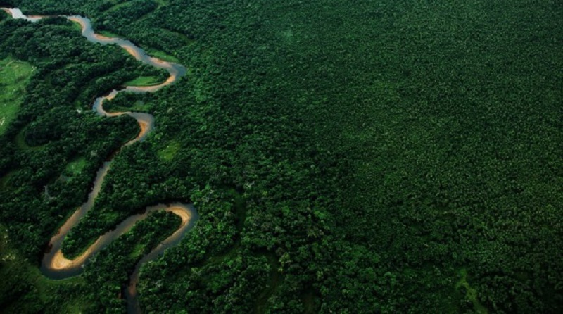 Presidente do Ibama libera desmatamento em área de Mata Atlântica contrariando parecer técnico do próprio instituto