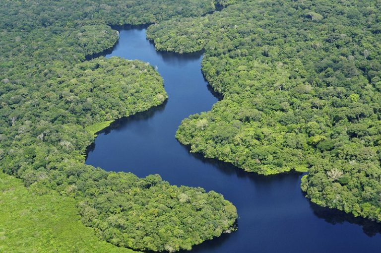 2/3 Dos Maiores Rios Do Planeta Não Correm Mais Livremente