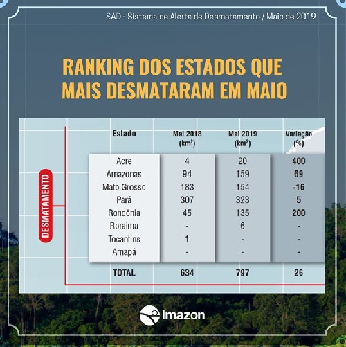 Amazônia tem quase 800 km2 de desmatamento em maio: aumento de 26% em relação a 2018