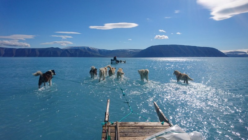 Temperatura mais de 20oC acima do normal na Groenlândia choca cientistas 