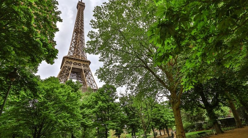 Paris irá plantar florestas urbanas para combater calor