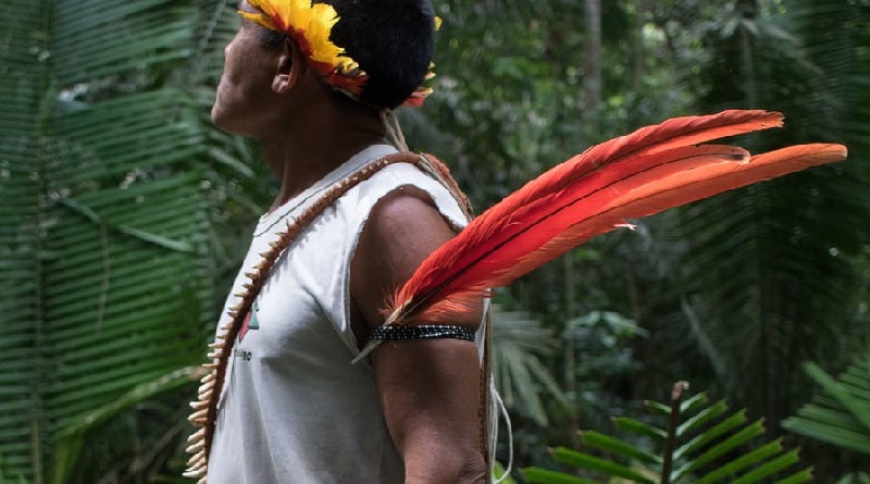 Campanha da Anistia Internacional exige que governo brasileiro proteja direitos dos povos indígenas e Amazônia
