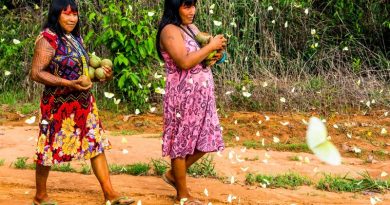 Indígenas brasileiros ganham prêmio internacional da ONU por soluções inovadoras na preservação ambiental