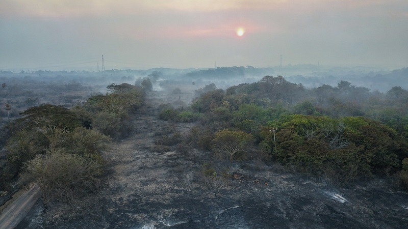 Degradação da Floresta Amazônica tem aumento de quase 800% em setembro, aponta alerta de desmatamento do Imazon