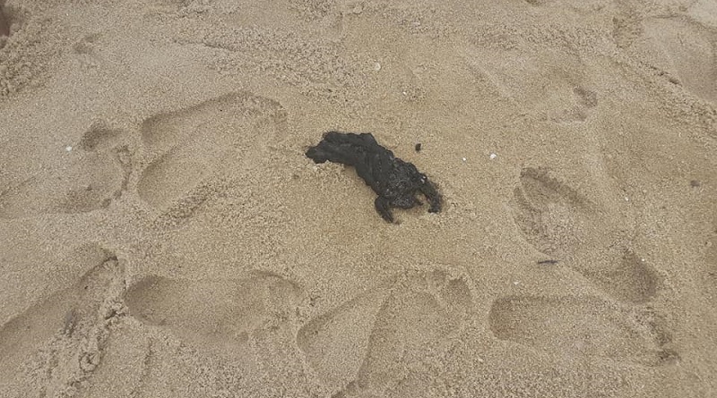 Fragmentos de óleo chegam ao litoral do Rio de Janeiro: cinco praias apresentam resíduos de petróleo
