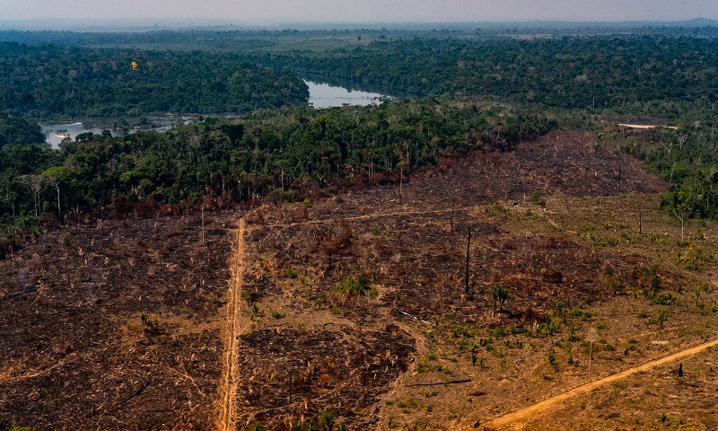 Degradação da Floresta Amazônica tem aumento de quase 800% em janeiro, indica alerta de desmatamento do Imazon