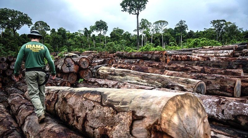 Destruição Da Floresta Amazônica Em Abril é A Maior Dos últimos Dez Anos 9547