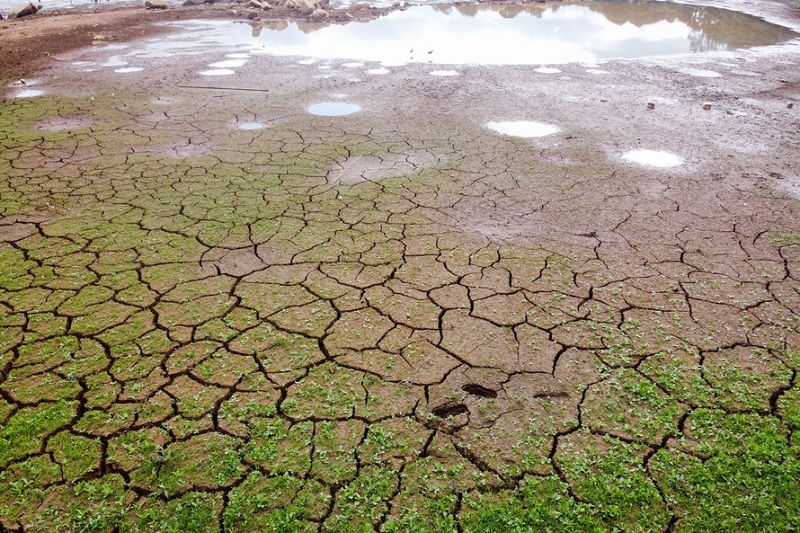 Crise climática: seca severa na Amazônia é agravada por desmatamento e fogo