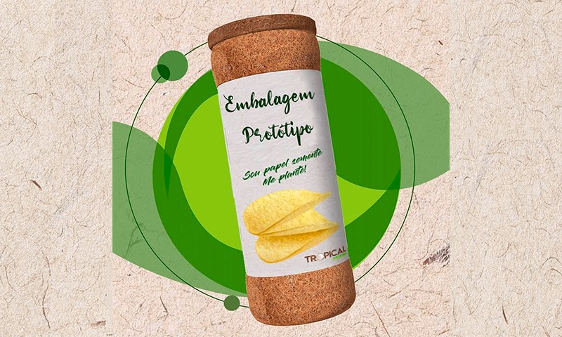 Embalagem brasileira que substitui plástico por fibra de coco é uma das finalistas em desafio mundial de sustentabilidade