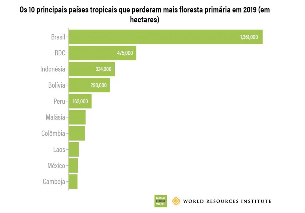 A cada 6 segundos o planeta perdeu um campo de futebol de floresta tropical em 2019: Brasil está no topo do ranking