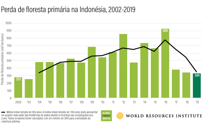 A cada 6 segundos o planeta perdeu um campo de futebol de floresta tropical em 2019: Brasil está no topo do ranking